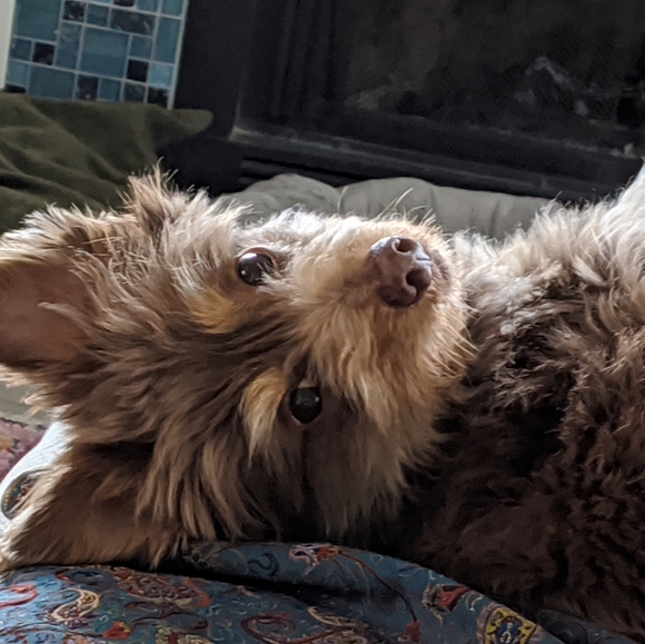 Meet the Posher - Picture 1 of 1